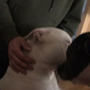 Meet your Posher, Chelsea